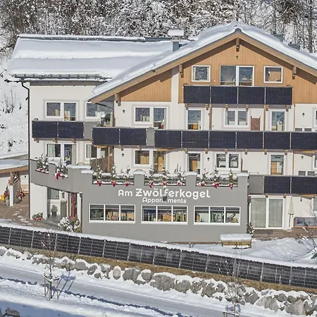 Am Zwölferkogel Appartements-3